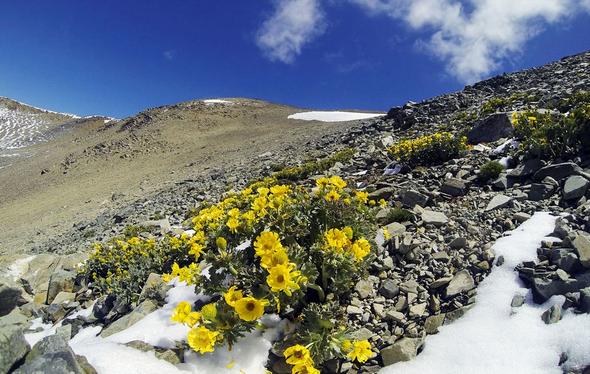 طبیعت زیبای نیوزیلند